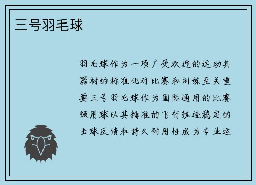 三号羽毛球